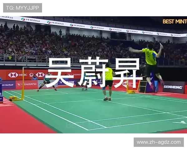 羽毛球花式集锦