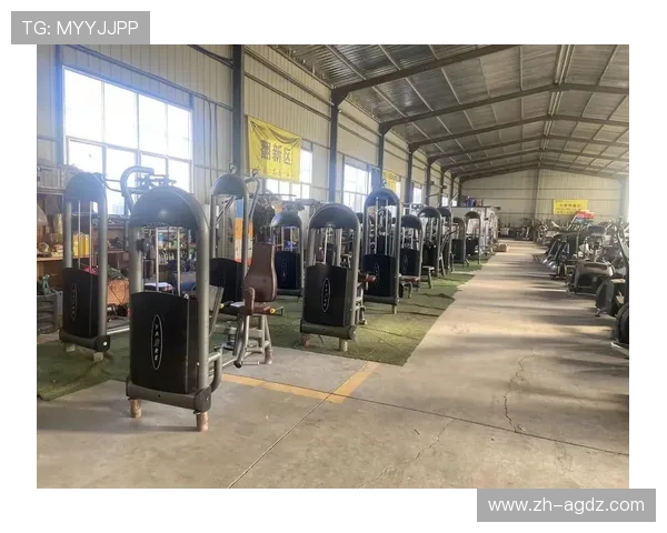 阳锐健身器材官网用户真实体验报告