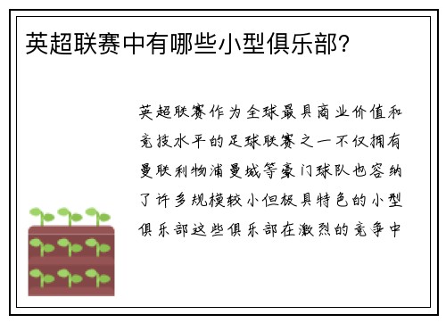 英超联赛中有哪些小型俱乐部？