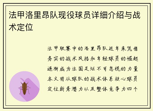法甲洛里昂队现役球员详细介绍与战术定位
